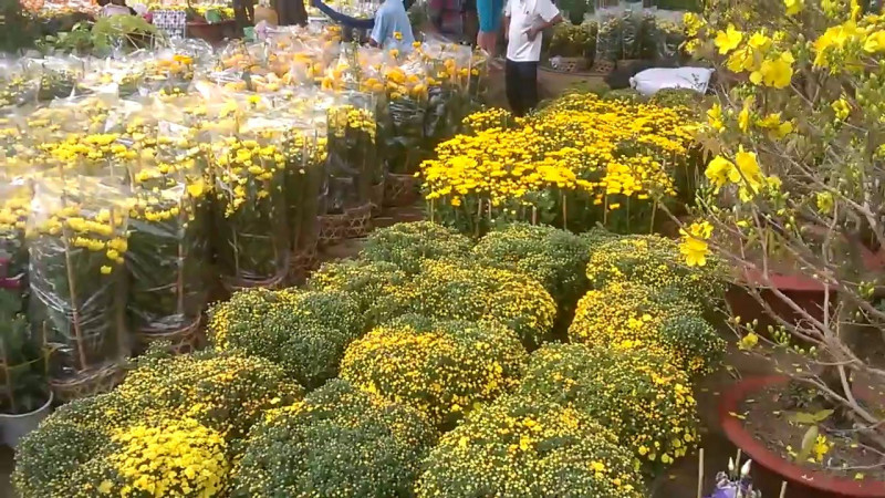 Chợ hoa Cà Mau