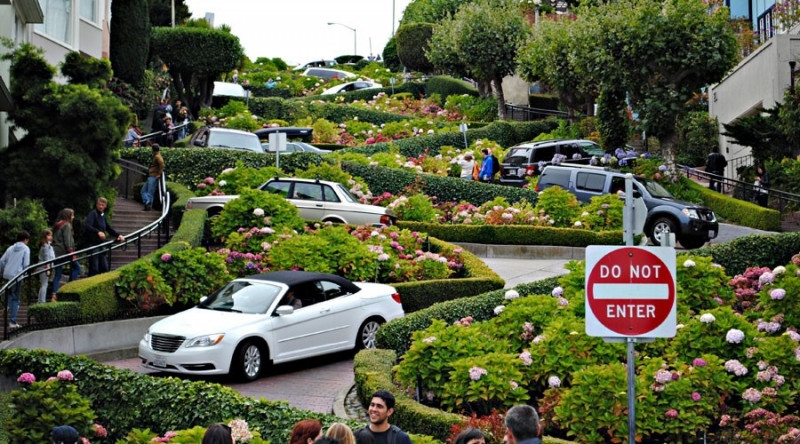 Lombard Street không chỉ là một trong những con đường hoa nổi tiếng nhất trên thế giới mà còn gây ấn tượng bởi độ dốc và ngoằn ngoèo