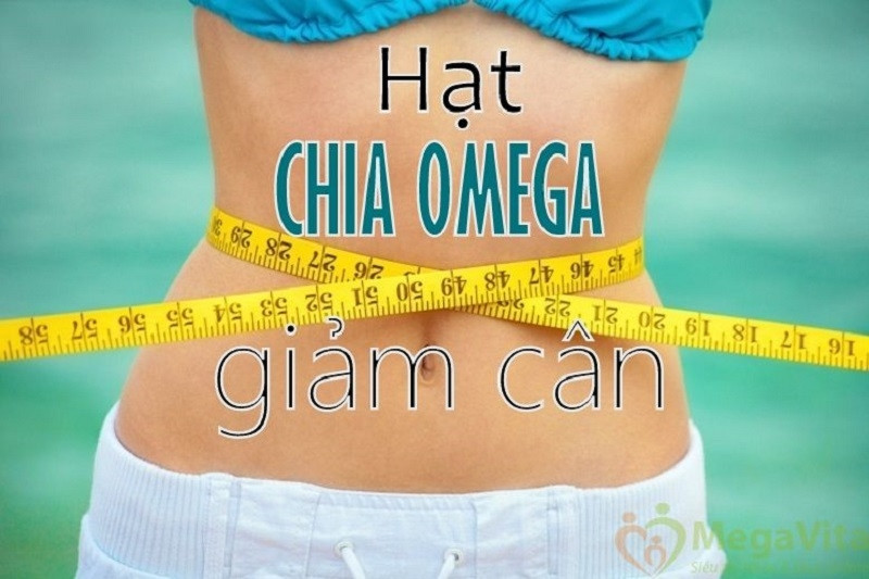 Hạt Chia có khả năng giảm cân hiệu quả, tạo cảm giác no nhanh và giúp hệ tiêu hóa hoạt động hiệu quả hơn.