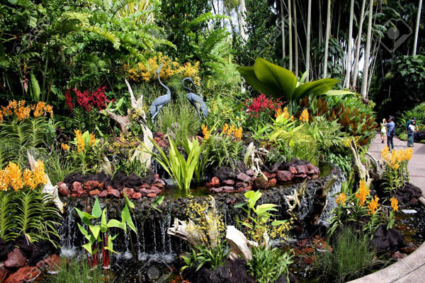 Vườn bách thảo Botanic Garden Singapore