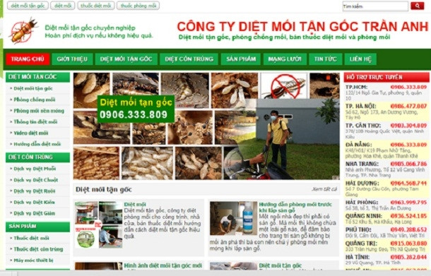 Trang website của Công ty CP đầu tư Trần Anh