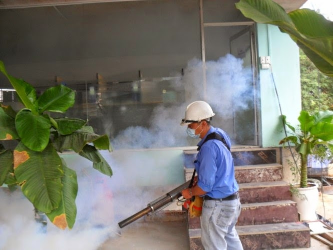 Dịch vụ diệt côn trùng tại nhà của Công ty TNHH diệt mối và côn trùng Á Châu