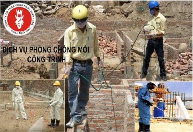 Công ty CP công nghệ Minh Tuấn tham gia diệt mối công trình