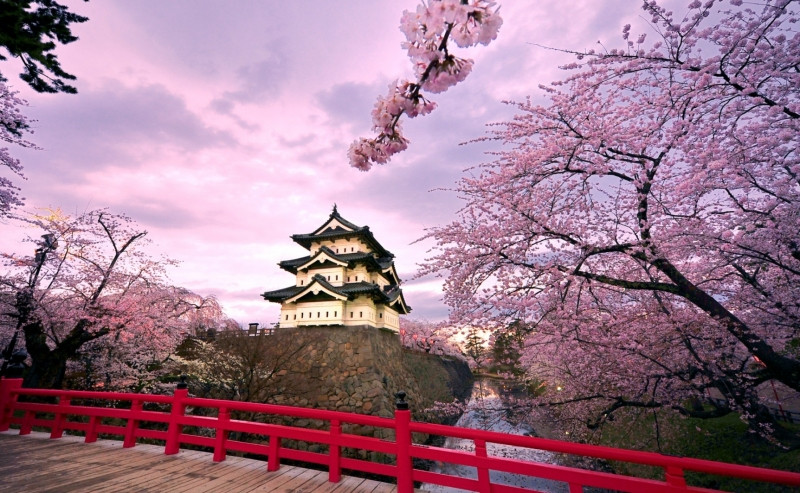 Tour Nhật Bản ngắm hoa Anh Đào