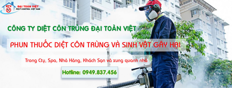 Công ty diệt mối và khử trùng Đại Toàn Việt