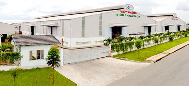 Công ty CP thức ăn chăn nuôi Việt Thắng