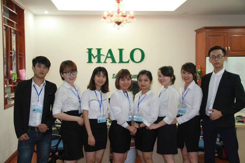 Công ty du học HALO