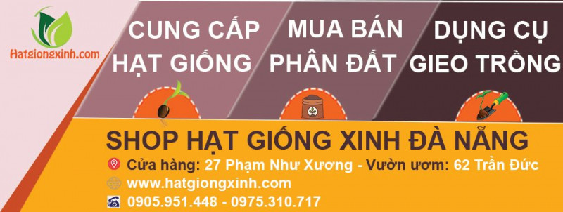 Shop Hạt Giống Xinh Đà Nẵng