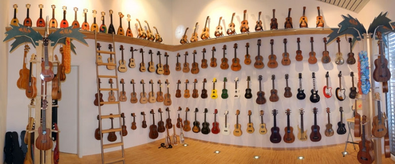 Nắng Hồng có rất nhiều nhạc cụ đa dạng để lựa chọn