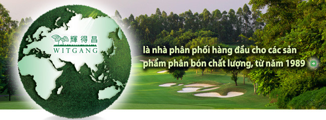 Công ty TNHH Witgang Việt Nam