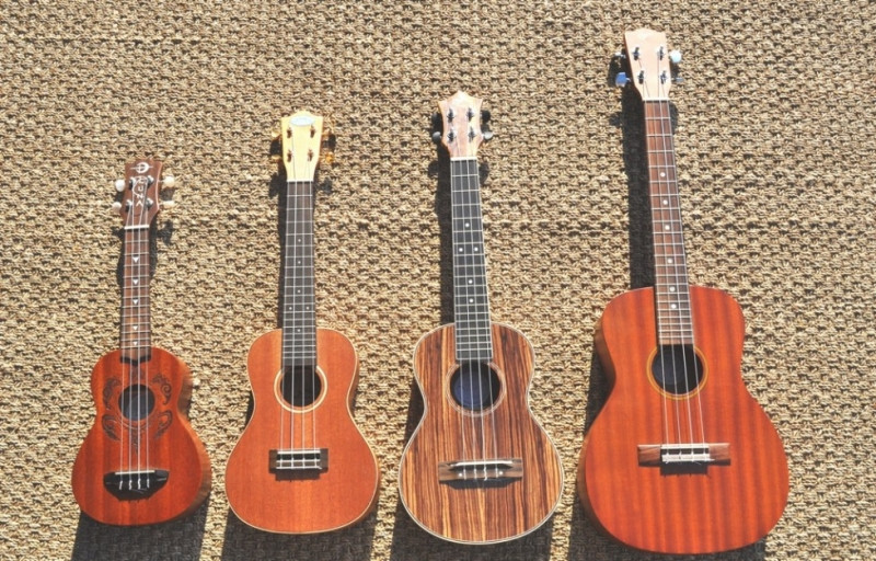 Một số mẫu guitar nhỏ