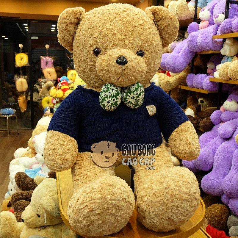 Chú gấu Teddy khổng lồ thật đáng yêu