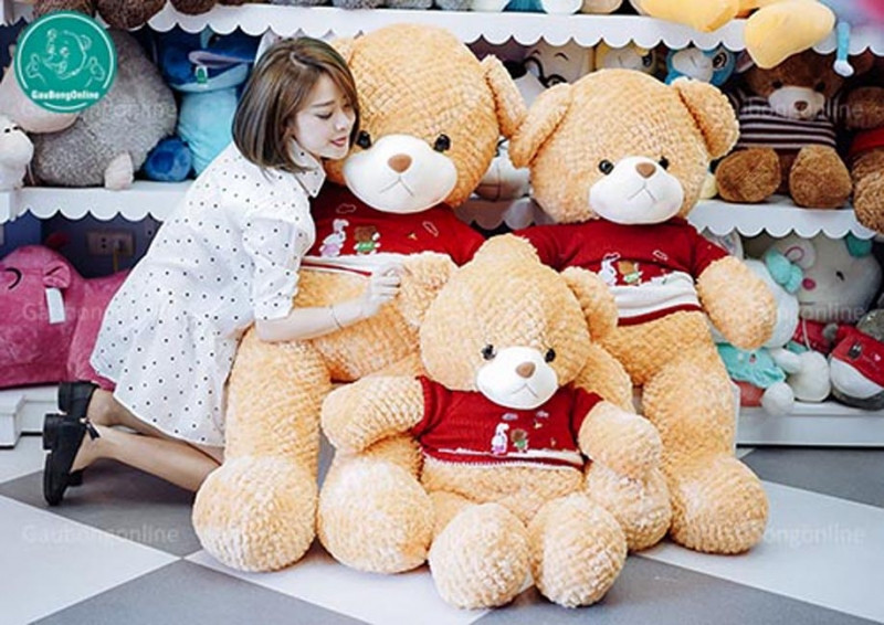 Teddy Lông Thẳng- sản phẩm của Gấu Bông Online