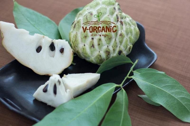 Na được trồng trong trang trạiV-Organic Về Với Tự Nhiên.