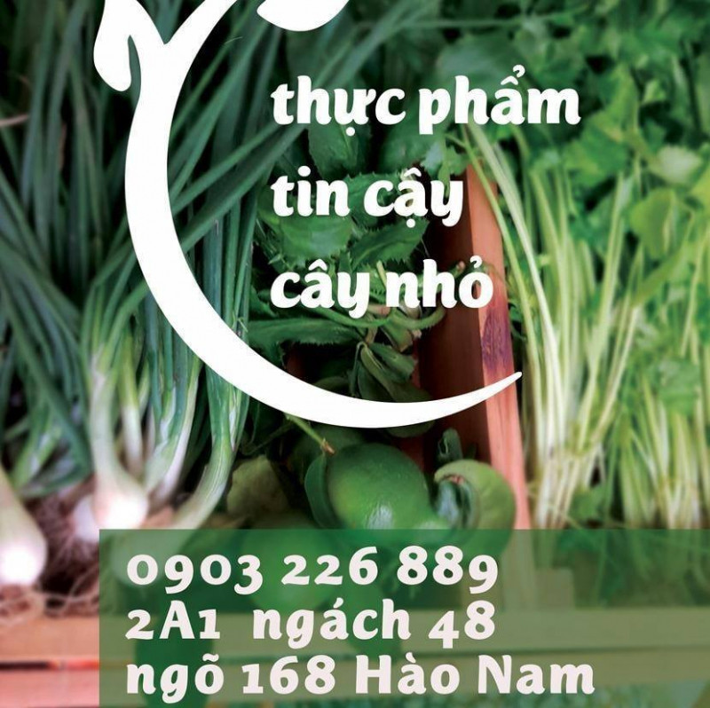 Thực phẩm tin cậy Cây nhỏ.