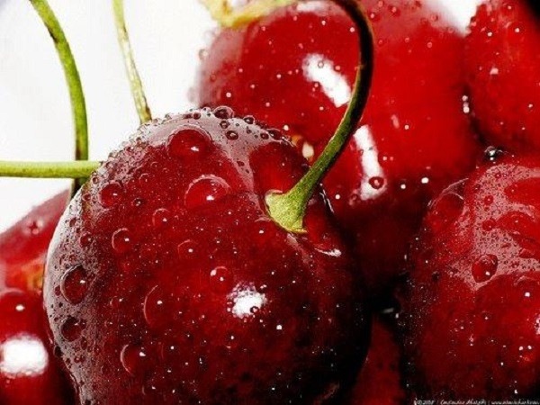 Cherry Úc tại Klever Fruits