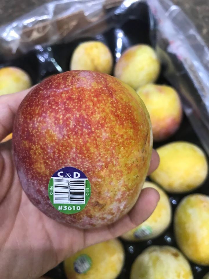 One Fruit