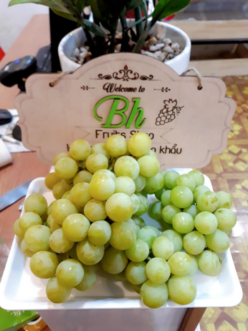 Hoa quả sạch Hoa Lư Ninh Bình - BH fruits