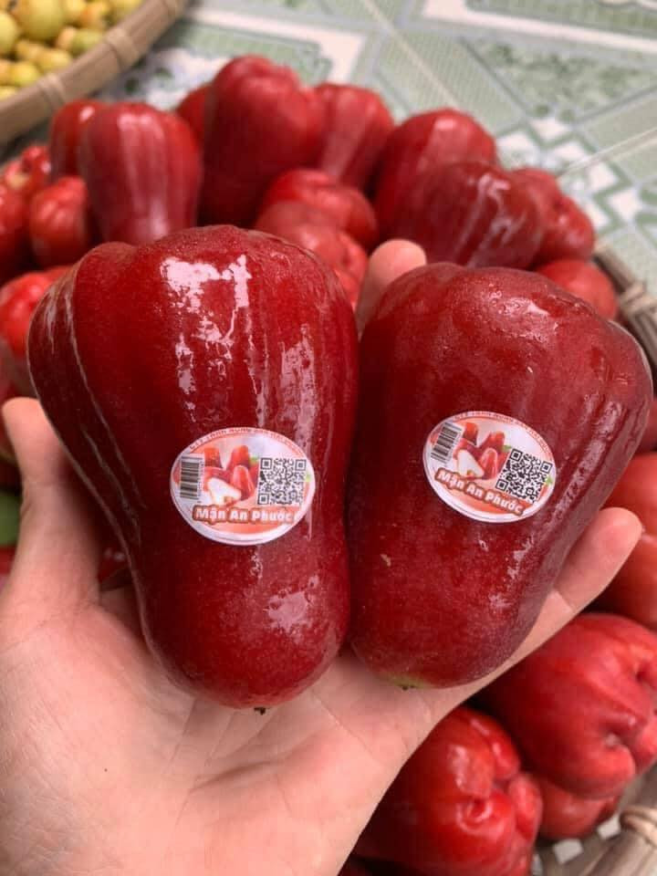 DP Fruits Thái Nguyên