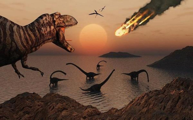 Cuộc đại tuyệt chủng Creta - Paleogen
