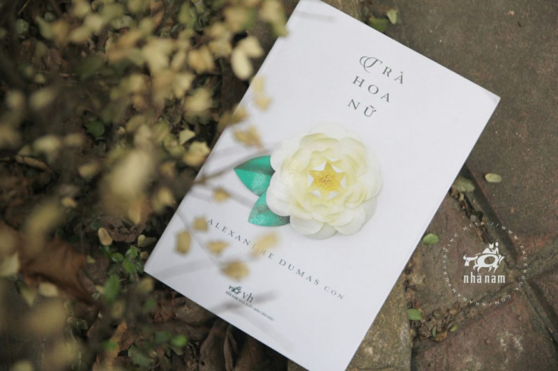Cuốn sách tâm lý học tình yêu – Trà hoa nữ