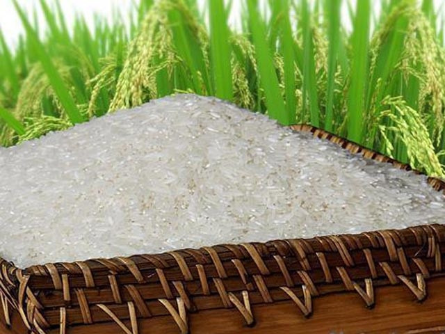 Đại lý gạo An Thành phân phối gạo ngon, giá rẻ