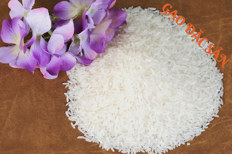 Đại lý gạo Hoa Gạo cung cấp các loại gạo chất lượng cao, uy tín.