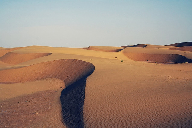 Sa mạc Thar là sa mạc lớn nhất của Ấn Độ, lớn thứ ba ở châu Á và lớn thứ bảy trên thế giới