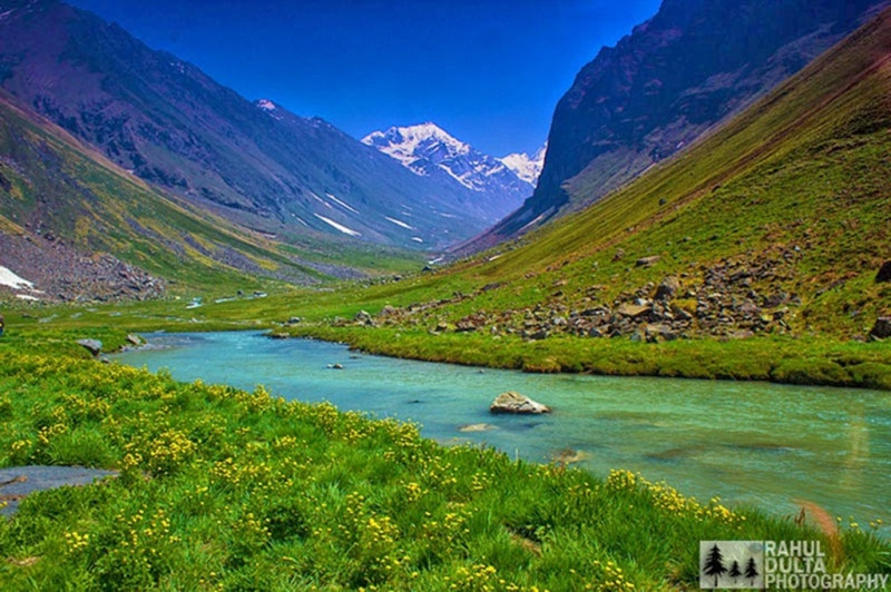 Thung lũng hoa ở Uttarakhand sở hữu tới hơn 300 loài hoa khác nhau