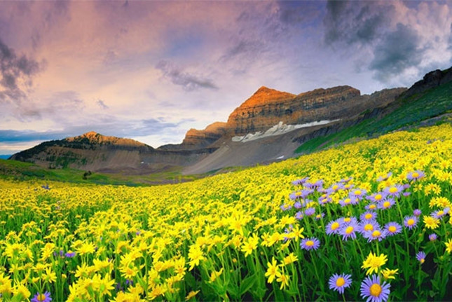 Thung lũng hoa ở Uttarakhand còn được UNESCO công nhận là di sản văn hóa của thế giới