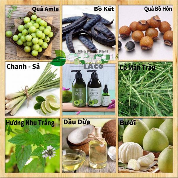 Dầu gội organic Amla