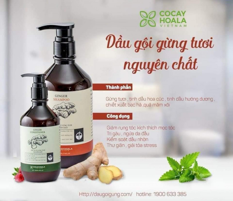 Dầu gội gừng COCAYHOALA ngăn rụng tóc, kích thích mọc tóc