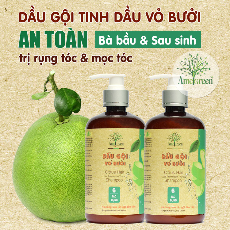 Dầu gội trị rụng tóc AmeGreen sử dụng thành phần tinh dầu bưởi thiên nhiên nhập liệu từ Pháp với hàm lượng cao, giúp đẩy nhanh quá trình điều trị rụng tóc chỉ sau 14 ngày sử dụng.