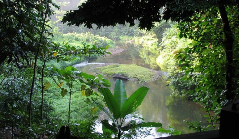 Di sản rừng mưa nhiệt đới đảo Sumatra của Indonesia bao gồm đến 3 công viên quốc gia
