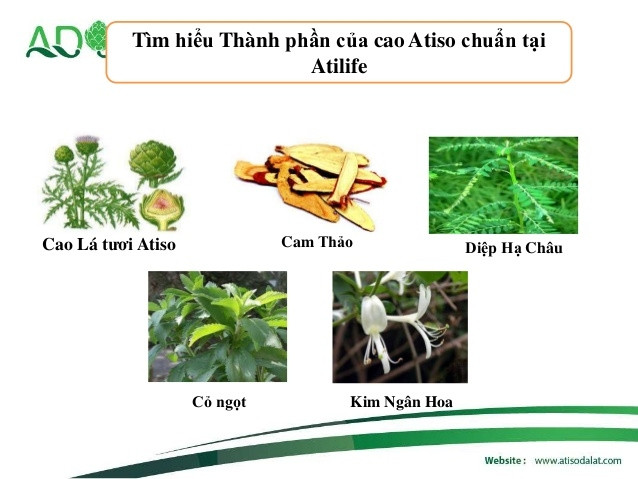 Thành phần cao Atiso Atilife