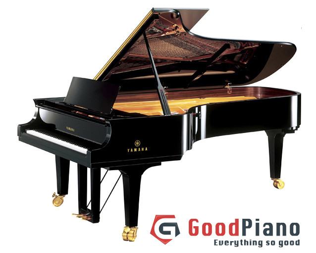 Với nhiều năm kinh nghiệm hoạt động trong lĩnh vưc tư vấn mua bán đàn piano Goodpiano hứa hẹn sẽ đem đến cho bạn sự lựa chọn hoàn hảo.