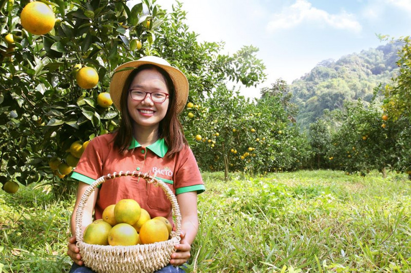 Thực phẩm sạch tại Bác Tôm