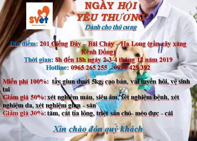 Bệnh Viện Thú Y SVET Quảng Ninh - Dr Hiệp ﻿