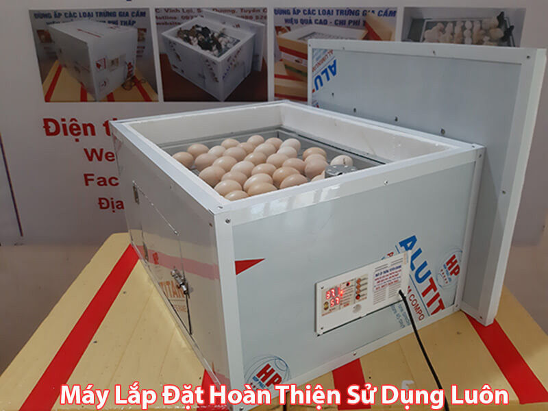 Công ty TNHH Máy Ấp Trứng Tuyên Quang