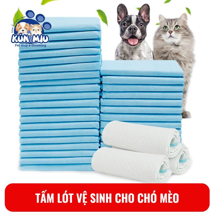 Kún Miu pet shop & Grooming