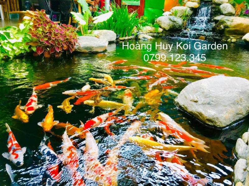 Hoàng Huy Koi Garden