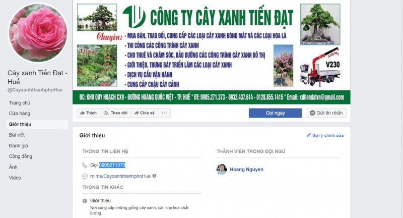 Công ty cây xanh Tiến Đạt