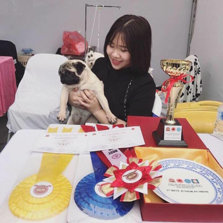 Tạ Thu Hồng Pug Kennel