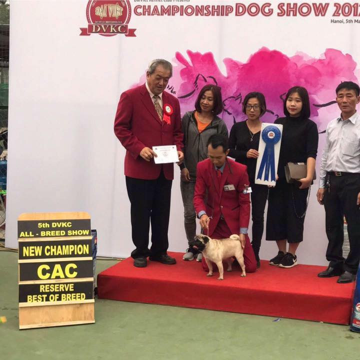 Tạ Thu Hồng Pug Kennel