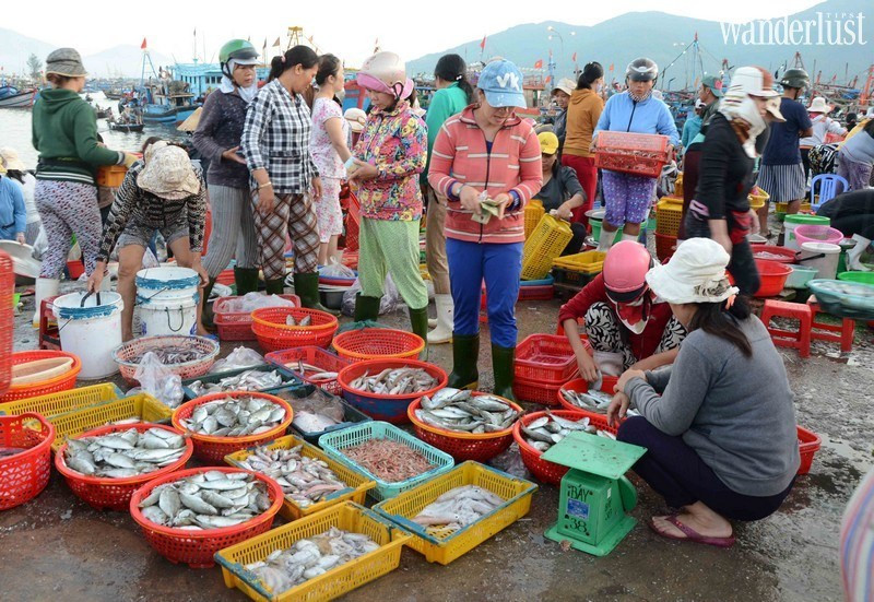 Chợ cá cảng Hạ Long