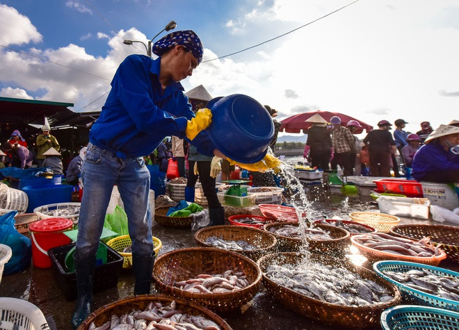 Chợ cá Bến Do