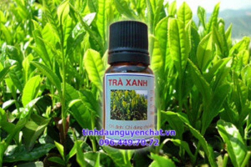 Tinh dầu trà xanh (hình ảnh lấy từ website của cửa hàng Kim Thư)