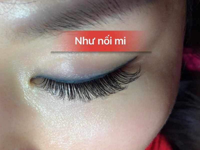 Như Nối Mi