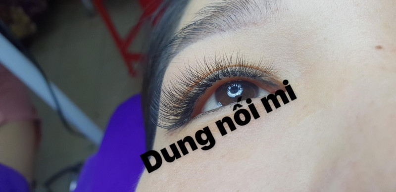 Dung's Eyelash