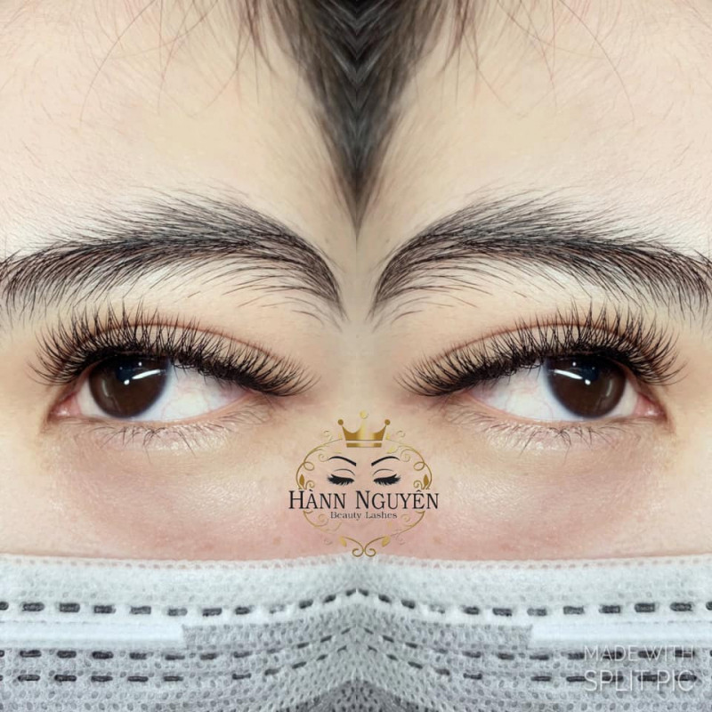 Hànn Nguyên Eyelash